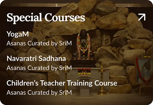 Special Courses