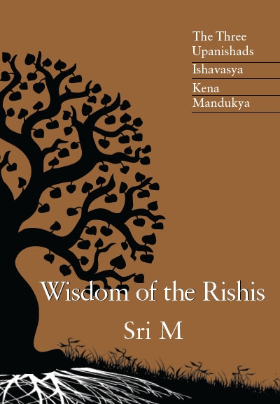 Wisdom of the Rishis Book Cover